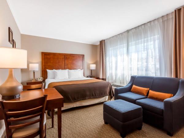 Comfort Inn Santa Monica - West Los Angeles : photo 3 de la chambre chambre familiale avec lit king-size, lit queen-size et canapé-lit - non-fumeurs