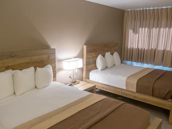 Thunderbird Boutique Hotel : photo 5 de la chambre chambre standard avec 2 lits queen-size
