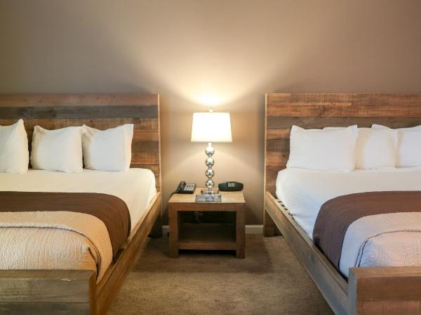 Thunderbird Boutique Hotel : photo 4 de la chambre chambre standard avec 2 lits queen-size