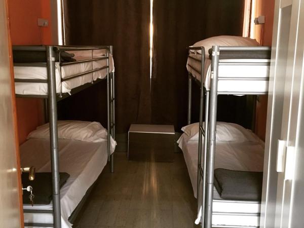 Lion Hostel : photo 2 de la chambre lit dans dortoir pour femmes de 6 lits