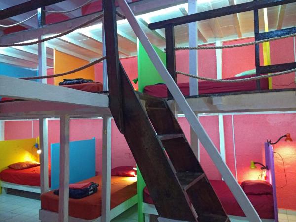 Iguana Hostel Oaxaca : photo 1 de la chambre lit simple dans dortoir mixte