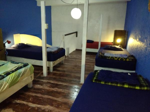 Iguana Hostel Oaxaca : photo 8 de la chambre lit simple dans dortoir mixte