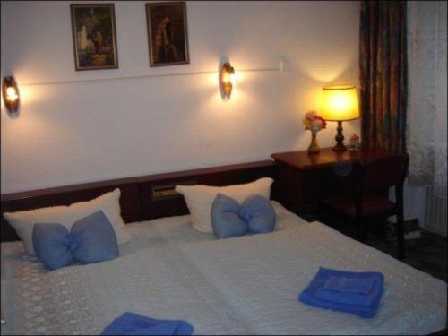 Hotel Novalis : photo 2 de la chambre chambre double ou lits jumeaux