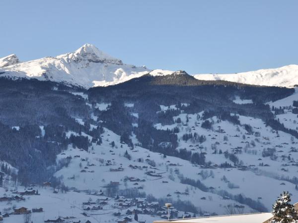 Hotel Tschuggen : photo 9 de la chambre chambre double avec balcon et vue sue l'eiger