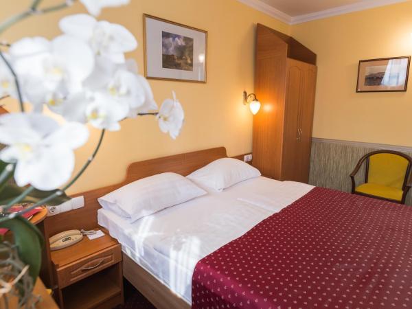 Hotel Korona Wellness, Rendezvény és Borszálloda : photo 1 de la chambre chambre double ou lits jumeaux classique