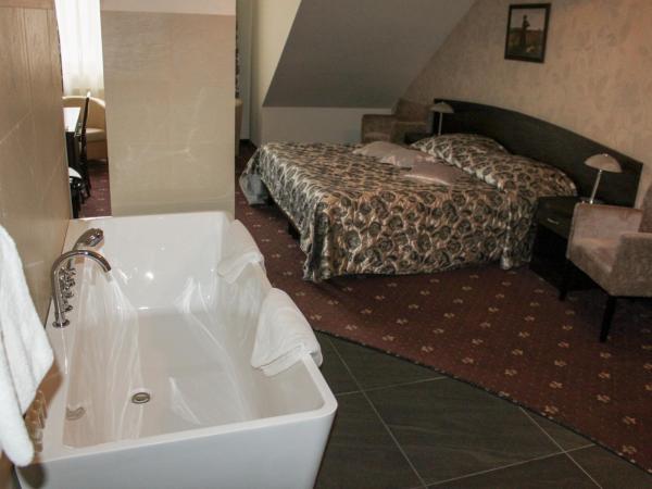 Hotel Monet & Rubbens : photo 4 de la chambre appartement supérieur