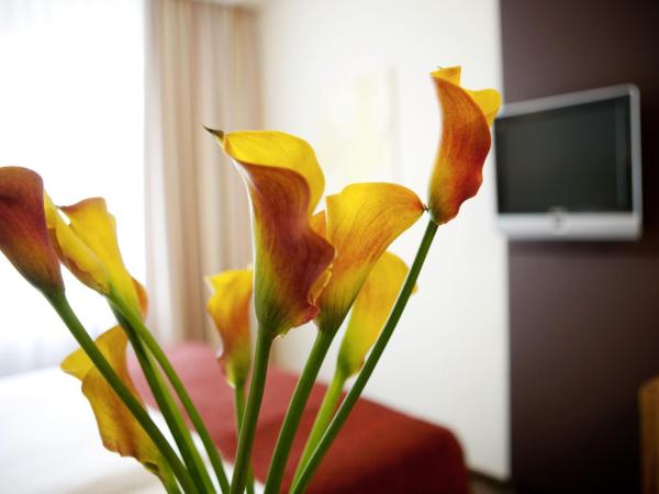 Boutique Hotel Das Tigra : photo 9 de la chambre petite chambre double