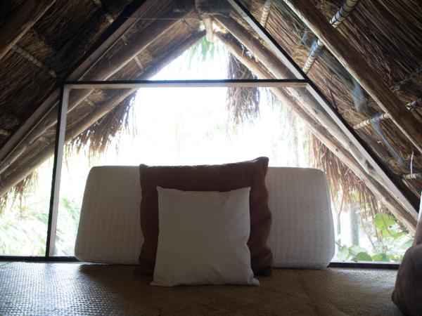 Tuup Jungle : photo 9 de la chambre appartement supérieur