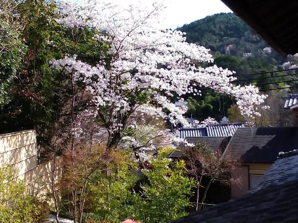 Kinkaku : photo 4 de la chambre chambre double - vue sur montagne
