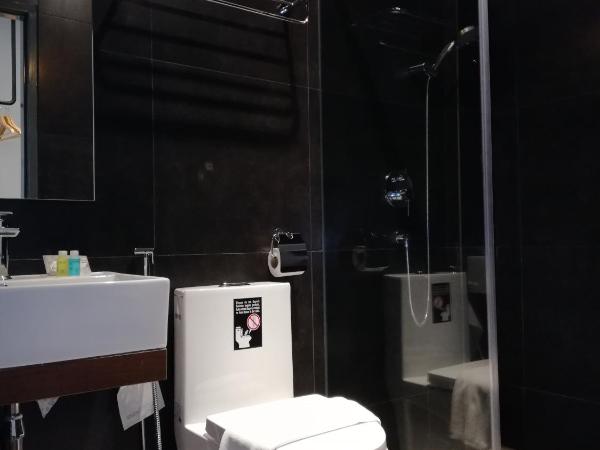 Palm Hotel Ipoh : photo 2 de la chambre hébergement lits jumeaux deluxe - 2 lits simples