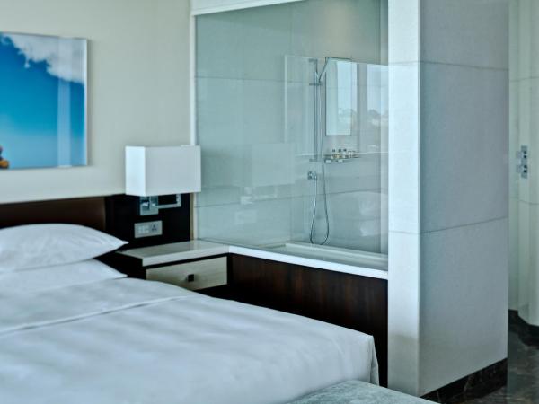 Park Hyatt Hotel and Residences, Hyderabad : photo 6 de la chambre chambre lit king-size - vue sur ville