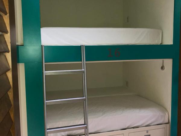 Hostel Tropico 20º OceanFront : photo 4 de la chambre lit simple dans dortoir mixte