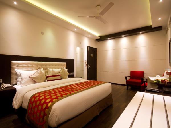 Hotel Grand Godwin - Near New Delhi Railway Station - Paharganj : photo 2 de la chambre chambre studio