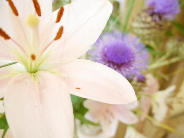 Hotel Rotdorn : photo 2 de la chambre studio deluxe