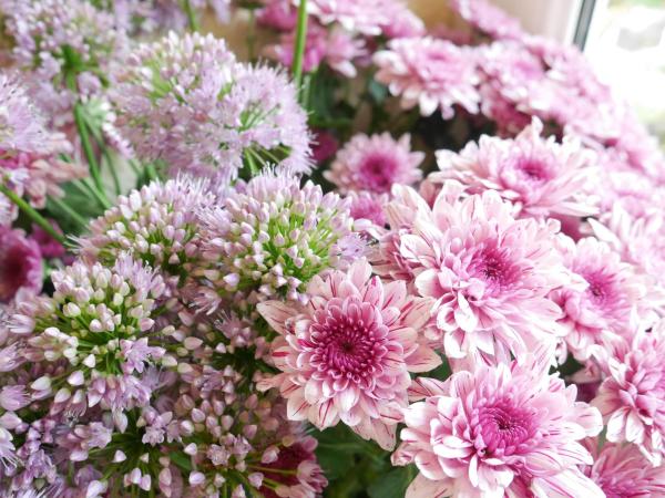 Hotel Rotdorn : photo 3 de la chambre chambre double standard