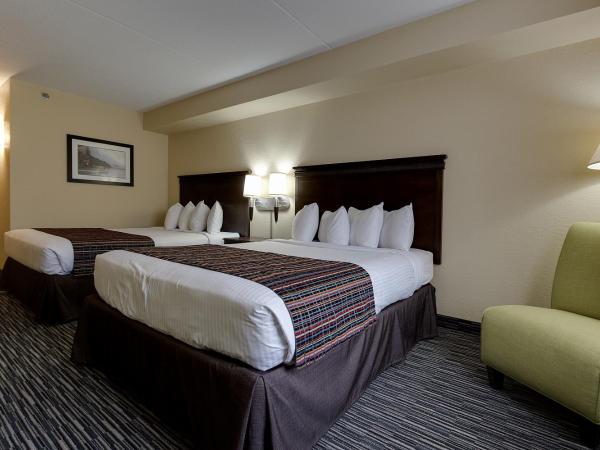 Country Inn & Suites by Radisson, Niagara Falls, ON : photo 3 de la chambre chambre avec 2 grands lits queen-size