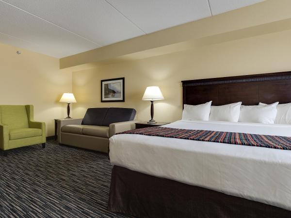 Country Inn & Suites by Radisson, Niagara Falls, ON : photo 2 de la chambre suite studio avec lit king-size et canapé-lit - non-fumeurs