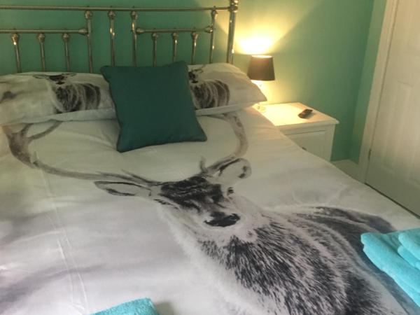 Bedrock Lodge : photo 4 de la chambre chambre double deluxe avec douche