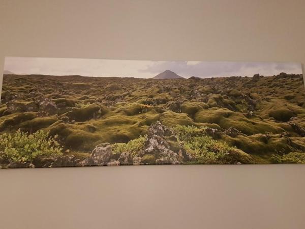 Ubak Guesthouse : photo 5 de la chambre chambre double avec douche commune