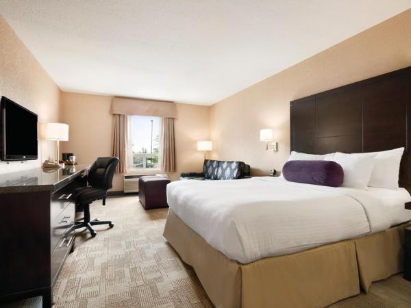 Days Inn by Wyndham Calgary Airport : photo 1 de la chambre chambre lit queen-size avec canapé-lit - accessible aux personnes à mobilité réduite - non-fumeurs
