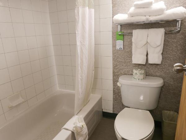 Days Inn by Wyndham Calgary Airport : photo 5 de la chambre suite familiale avec deux lits queen-size - non-fumeurs