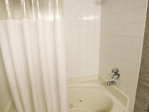 Days Inn by Wyndham Calgary Airport : photo 10 de la chambre suite studio lit king-size - non-fumeurs