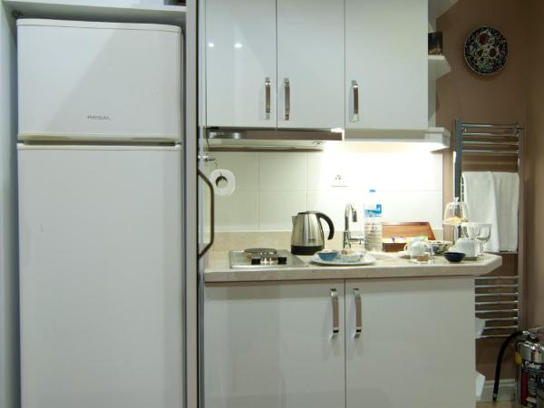 Best Point Hotel-Old City Sultanahmet : photo 7 de la chambre appartement 2 chambres avec hammam privé - 4 adultes - bâtiment annexe