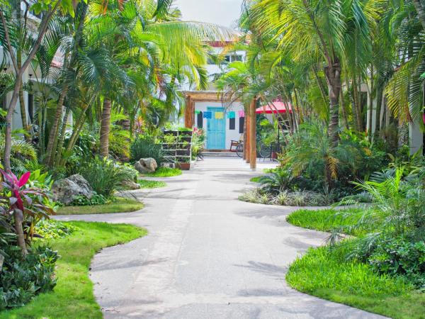 Hotel Villas Colibrí Suites & Bungalows : photo 6 de la chambre villa 3 chambres dans centre-ville de cozumel - villas colibri 3