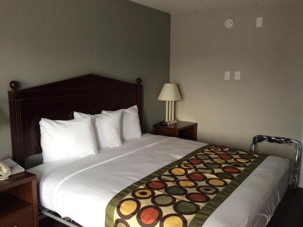 Ocean's 24 : photo 3 de la chambre chambre lit king-size standard