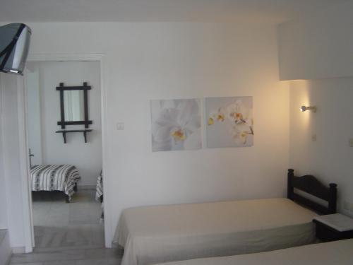 Sigma Studios on The Beach : photo 2 de la chambre special offer - semi basement family studio (5 guests)
