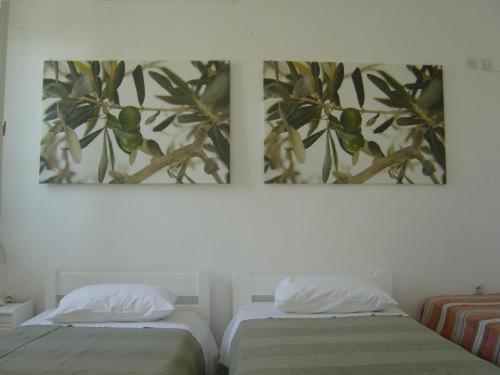 Sigma Studios on The Beach : photo 1 de la chambre studio familial