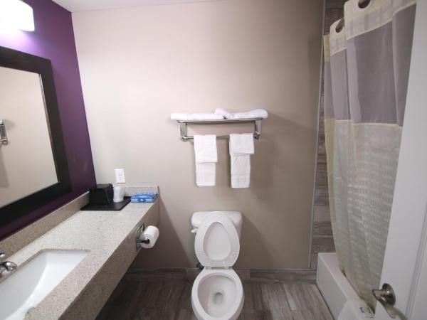 Home Inn and Suites Memphis : photo 7 de la chambre chambre double standard