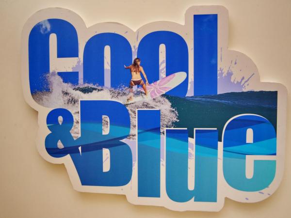 Son of a Beach Hostel : photo 1 de la chambre chambre double ou lits jumeaux supérieure