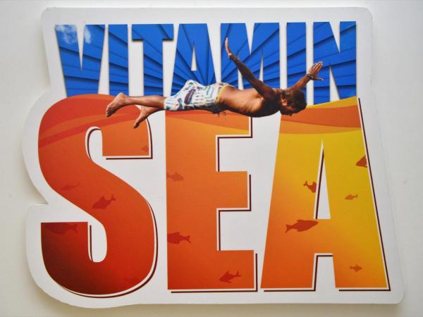 Son of a Beach Hostel : photo 1 de la chambre chambre double ou lits jumeaux avec salle de bains privative