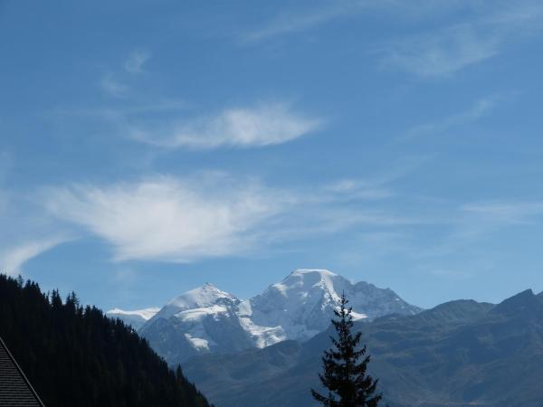 Hotel Ermitage Verbier : photo 7 de la chambre chambre lits jumeaux - vue sur montagne