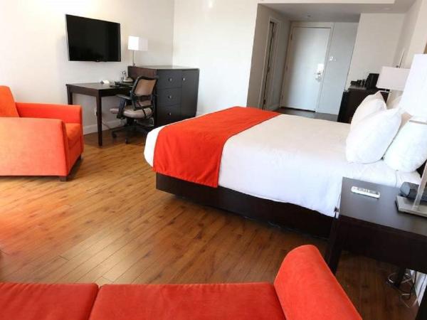 Hotel Classique : photo 1 de la chambre chambre lit king-size ou lits jumeaux supérieure