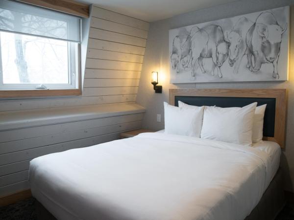 Tunnel Mountain Resort : photo 8 de la chambre appartement 1 chambre avec loft