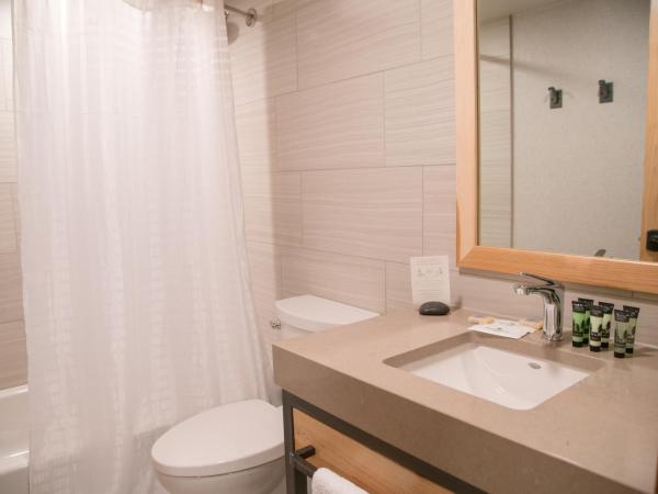 Tunnel Mountain Resort : photo 7 de la chambre appartement 1 chambre avec loft