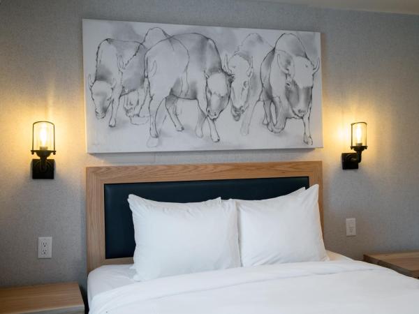 Tunnel Mountain Resort : photo 6 de la chambre appartement 1 chambre avec loft