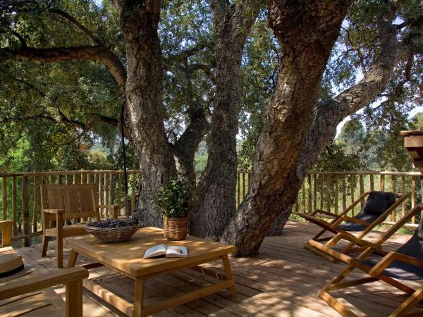 Chteau de Valmer : photo 3 de la chambre cabane dans les arbres familiale (2 adultes + 2 enfants)