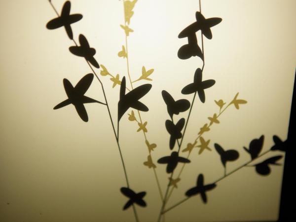 Anessis : photo 6 de la chambre chambre simple intérieure