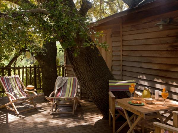 Chteau de Valmer : photo 3 de la chambre cabane dans les arbres