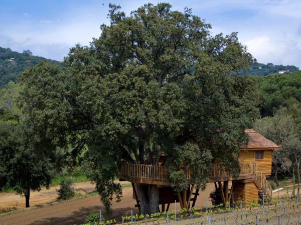 Chteau de Valmer : photo 2 de la chambre cabane dans les arbres familiale (2 adultes + 2 enfants)