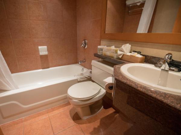 The Hidden Ridge Resort : photo 1 de la chambre appartement de luxe 1 chambre - 2 lits queen-size