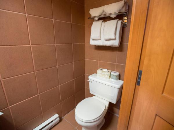 The Hidden Ridge Resort : photo 6 de la chambre appartement de luxe 1 chambre - loft 3 lits queen-size