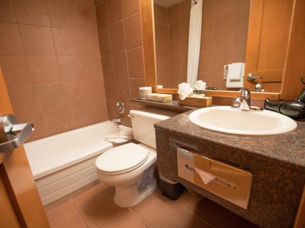 The Hidden Ridge Resort : photo 5 de la chambre appartement de luxe 1 chambre - loft 3 lits queen-size