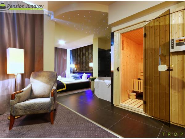 Penzion Vanessa : photo 3 de la chambre chambre de luxe double ou lits jumeaux avec baignoire spa
