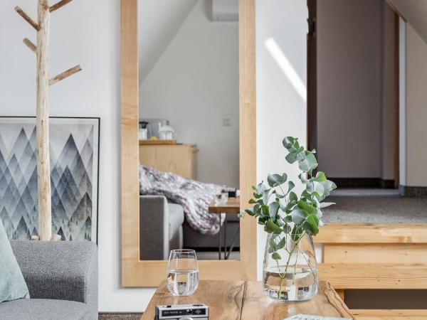 Willa Malinowa : photo 3 de la chambre appartement 2 chambres deluxe