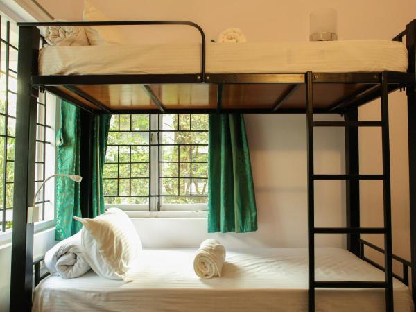 Locul Uptown - Near Bangalore Palace Grounds : photo 2 de la chambre 6 bed non ac male dorm only