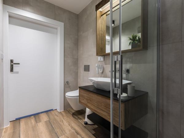 Rezydencja Zakopiańska : photo 7 de la chambre studio - vue sur montagne